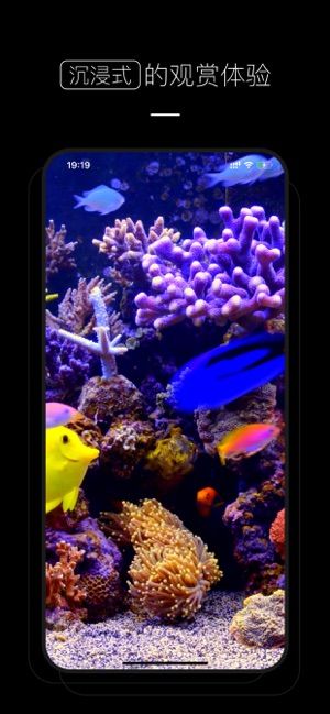 手机桌面壁纸v1.1.0