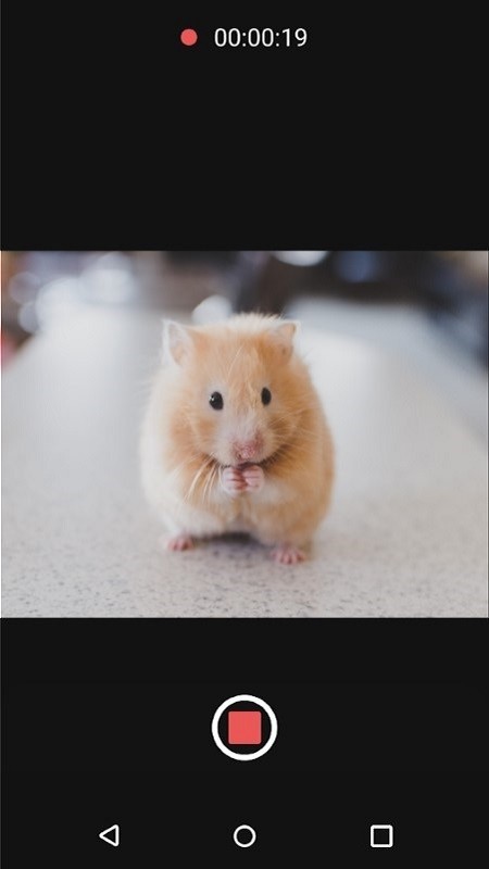 可变焦距相机v8.1.0