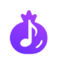 石榴音乐v1.0.2