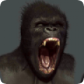 大猩猩横冲直撞v1.2