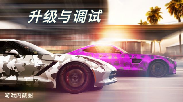CSR2v3.8.1