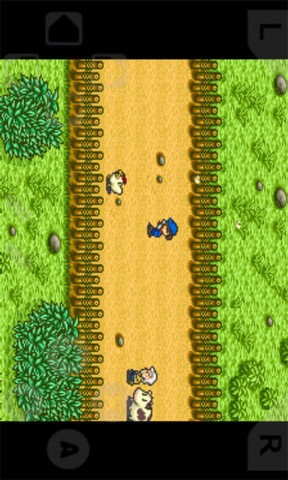 牧场物语中文豪华版v2.0.1