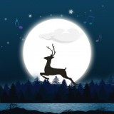 秀秀睡眠音乐v8.4