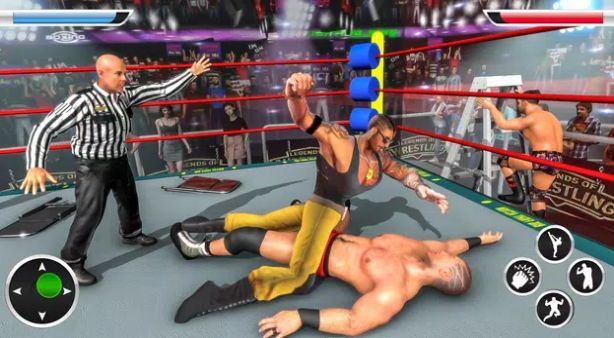 摔跤游戏拳击v1.5
