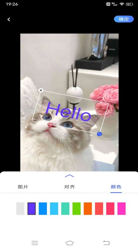 小猪翻译视频v1.0.1