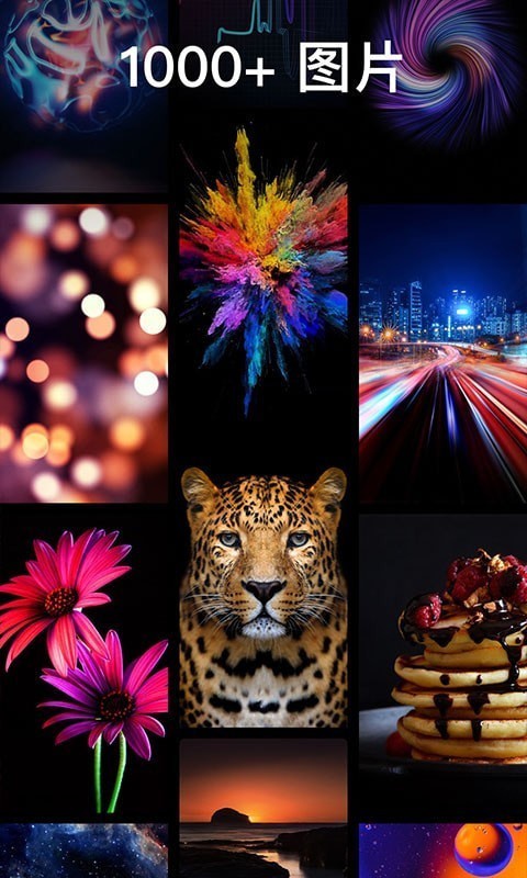 灵猫主题壁纸v1.0.2