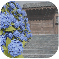 逃脱梅雨季v1.0.4