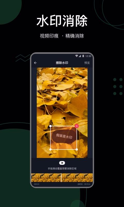抖快去水印v1.0.4