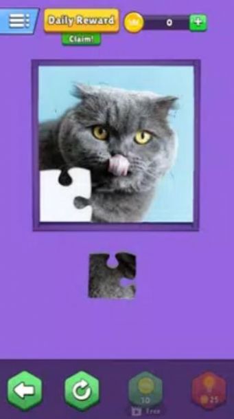 拼图乐趣3Dv0.72