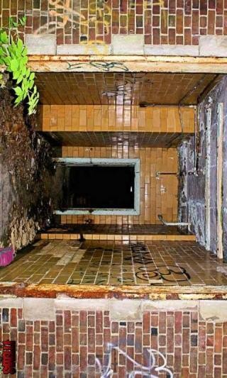 探险不能少了你v1.0