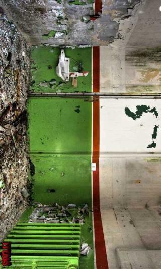 探险不能少了你v1.0