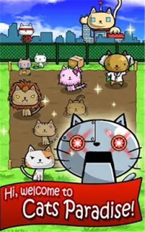 猫咪星球便便v1.1.6