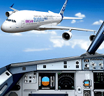 模拟极限驾驶v1.0.1