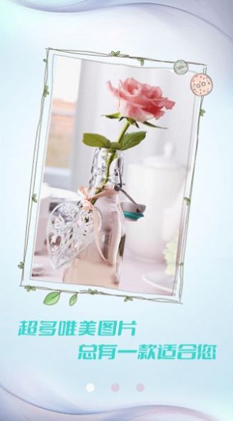 小猪壁纸大全v1.0.1