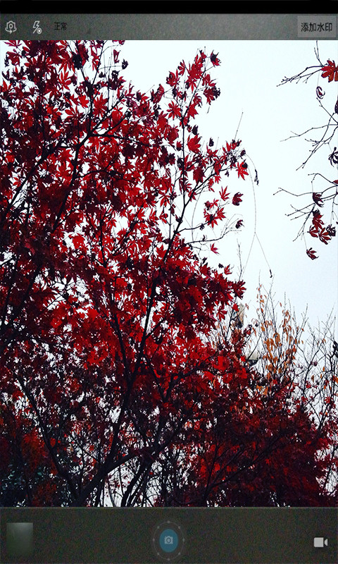 魔力玩图照相机v8081.21.11.16