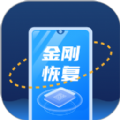 金刚恢复大师v1.0.0