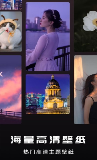 咸鱼壁纸之王v1.2