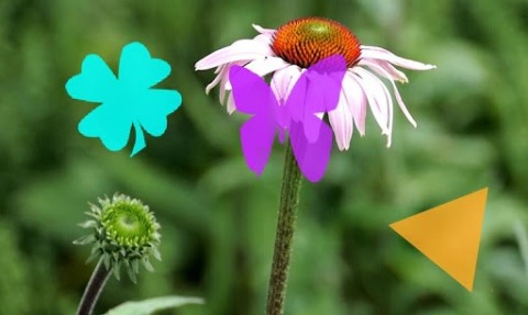 MX视频播放器(MX Player)v1.10.8