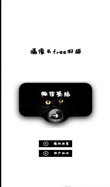 网络摄像头检测器v1.0
