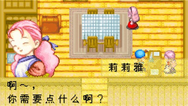 牧场物语矿石镇的伙伴v1.0