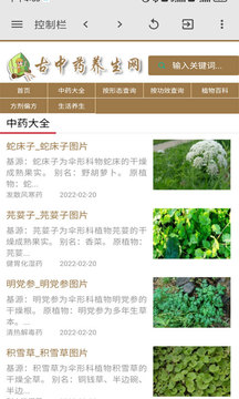 古中药养生网v6.6