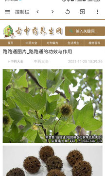 古中药养生网v6.6