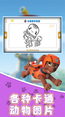 小熊熊学画画v1.0