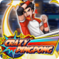 疯狂乒乓球 Crazy PingPongv1.0.0
