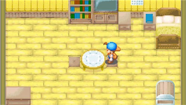 牧场物语矿石镇的伙伴v1.0