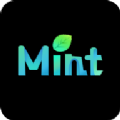 MintAIv1.2.9
