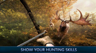 动物狙击手v1.1.0