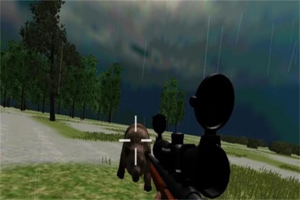 Jungle Animal Huntingv