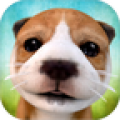 模拟狗狗v2.2.3
