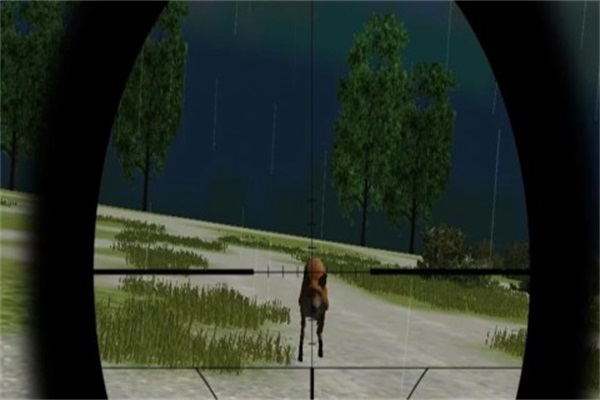 Jungle Animal Huntingv