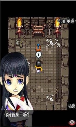 幽情幻剑雄霸天下v