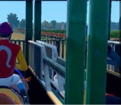 特技赛马竞技3Dv1.0