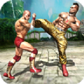 终极格斗俱乐部v1.3