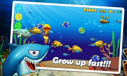 饥饿的鲨鱼最新版v1.6