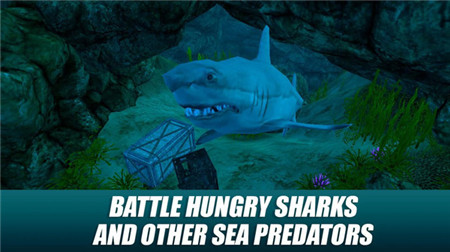 水下生存模拟v1.3.0