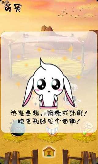 手机桌面宠物趴耳兔v1.1