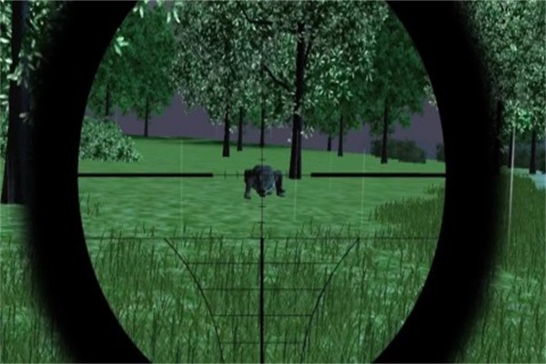 Jungle Animal Huntingv