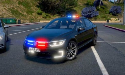 帕萨特驾驶模拟v0.2