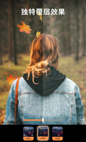 motionleap专业版v1.4.3