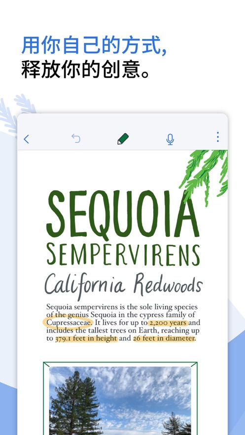 notability免付费版v7.0.0
