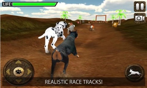 Greyhound Dog Racing 3Dv