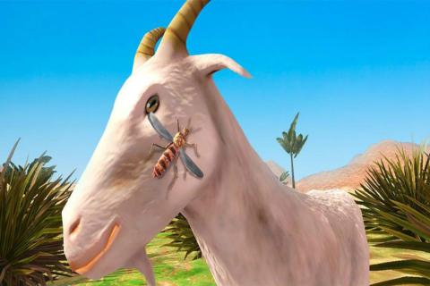 蚊子模拟器3D修改版v1.3.0