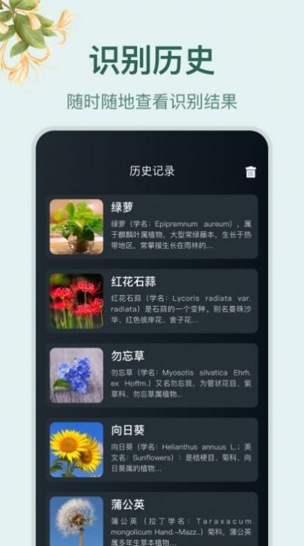 花草百科识别v1.1