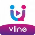 Vlinev1.1.190228