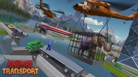 动物运输v1.0
