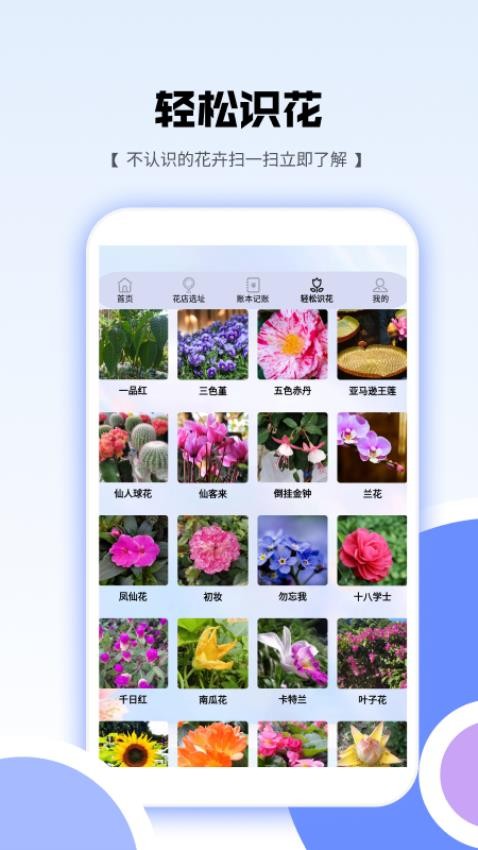 花朵爱消消v1.4